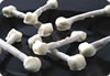 halloween recipes - brittle bones&nbsp;Article