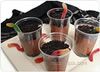 More Kids Recipes