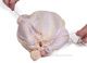 Trussing Poultry&nbsp;Article