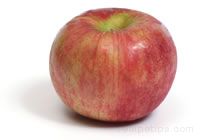 Cortland Apple - Definition and Cooking Information 