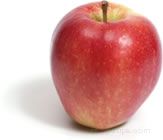 Gala  Apple Glossary Term