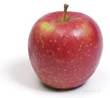 Haralson Apple Glossary Term
