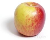 Jonagold Apple