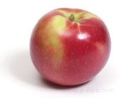 Jonamac Apple Glossary Term