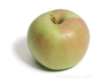 rhode island greening apple Glossary Term