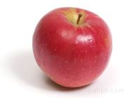 sweet sixteen 16 apple Glossary Term