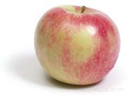 Wealthy Apple Glossary Term