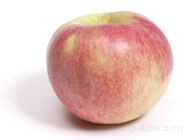 wolf river apple Glossary Term
