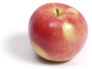 Zestar Apple Glossary Term