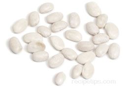 great northern bean Glossary Term