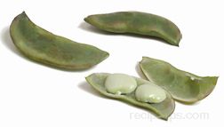 lima bean Glossary Term