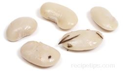 White Bean