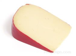 gouda cheese Glossary Term