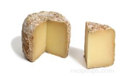 Makea Cheese Glossary Term