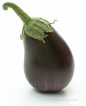 italian eggplant Glossary Term