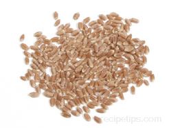 wheat berry Glossary Term