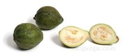 guava Glossary Term