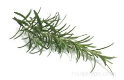 Rosemary