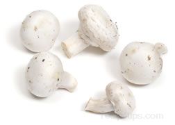 white mushroom Glossary Term