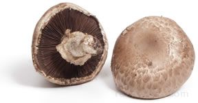 Portobello Mushroom Glossary Term