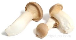 royal trumpet mushroom Glossary Term