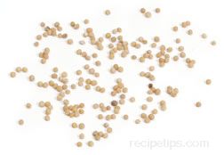 mustard seed Glossary Term