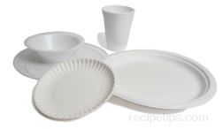 paper plate Glossary Term