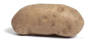 Potato Glossary Term