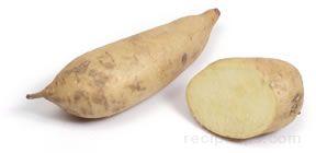 Sweet Potato Glossary Term