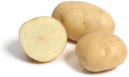 White Rose Potato Glossary Term