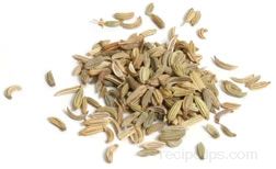 Fennel Seed Glossary Term