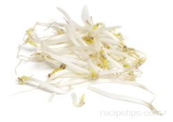 bean sprout Glossary Term