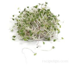 broccoli sprouts Glossary Term