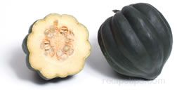 Acorn Squash - Definition and Cooking Information