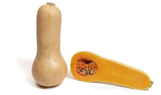 Butternut Squash Glossary Term