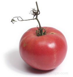 Heirloom Tomato