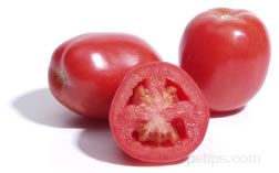 Plum Tomato Glossary Term