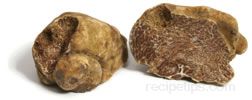 Truffle Mushroom