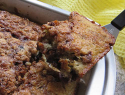 Blueberry Coffee Cake with Crumb Topping Recipe