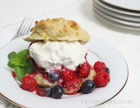 Two Berry Shortcakes Recipe