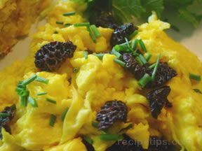 scrambled eggs with morels Recipe