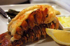 Piggyback Lobster Tails