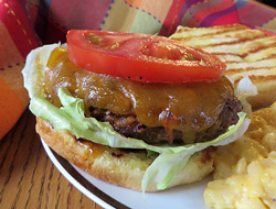 Taco Cheeseburger Recipe