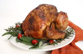 Spit-Roasted Turkey Recipe