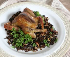 roasted squab stuffed with wild rice Recipe