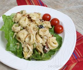 tortellini pasta salad Recipe