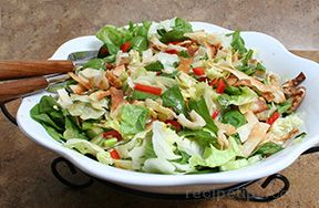 wonton grilled chicken salad Recipe