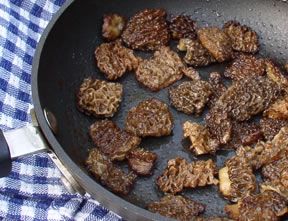 Sauteed Fresh Morels