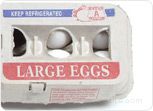 Egg Shopping Guide Article