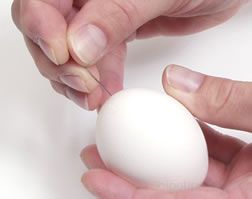 hard boiled eggs Article